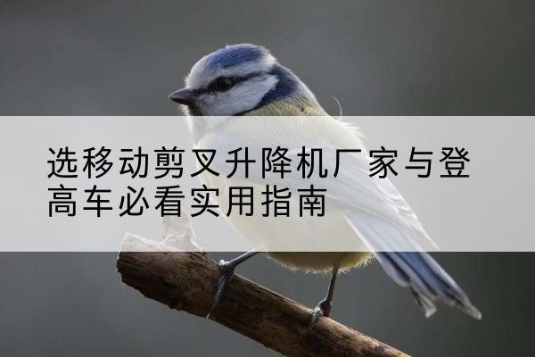 樊城电动升降机厂家-选移动剪叉升降机厂家与登高车必看实用指南