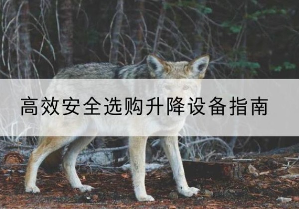 樊城升降货梯厂家推荐-*安全选购升降设备指南