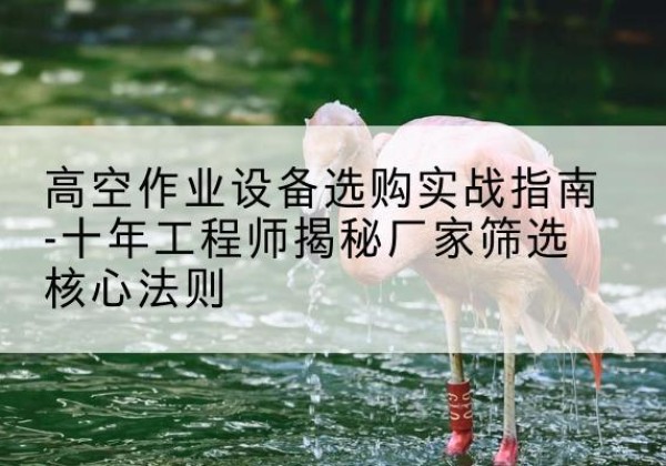 樊城剪叉式升降机厂家-高空作业设备选购实战指南-十年工程师揭秘厂家筛选核心法则